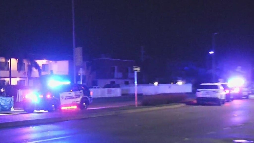 Woman accused of killing man in Dania Beach hit-and-run, BSO says — CBS Miami, Belvedere Community news