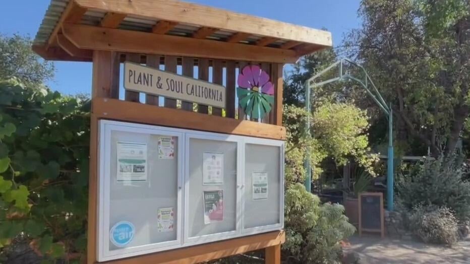 San Jose community garden told to leave as land is sold to developer — CBS Bay Area (KPIX), Belvedere Real Estate news