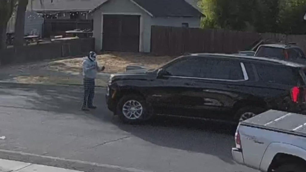 Woodland police dispute DHS account of ICE agent's collision with pedestrian — CBS Bay Area (KPIX), Belvedere Health news