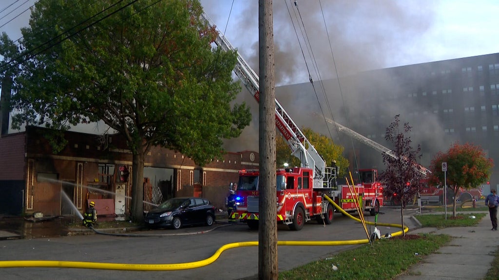 2 Minneapolis firefighters hurt in East Franklin Avenue business fire — WCCO / CBS Minnesota, Belvedere Health news