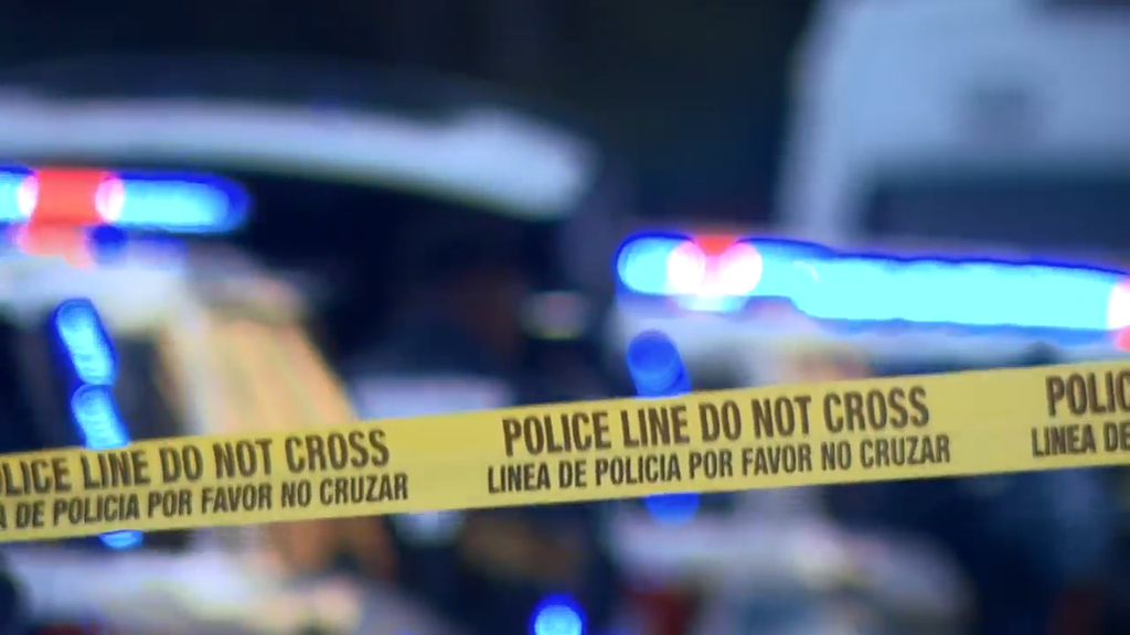 Man accused of stabbing, killing his own mother in Tamarac, BSO says — CBS Miami, Belvedere Health news