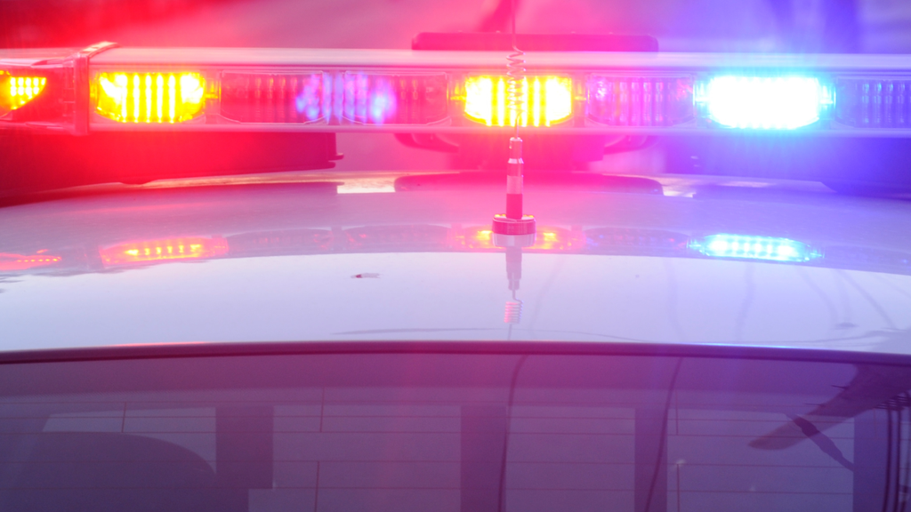 Missing Yuba City teen rescued after dramatic Central California police chase — CBS Bay Area (KPIX), Belvedere Health news