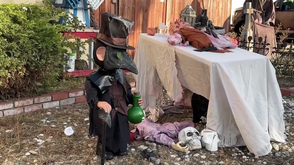 Halloween decorations worth roughly $700 stolen from San Leandro home — CBS Bay Area (KPIX), Belvedere Schools news