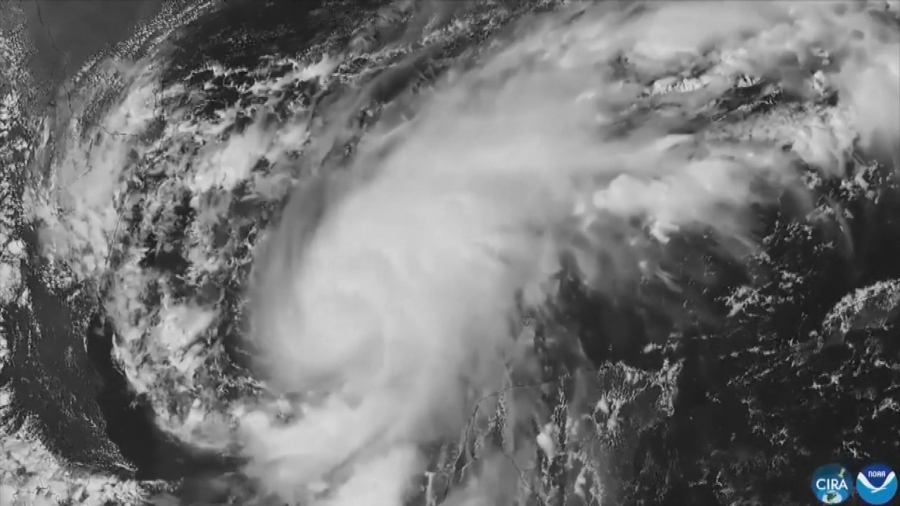 Hurricane Isaias: Residents board up windows and National Guard troops deploy as storm nears US Gulf Coast
— ABC 7 Bay Area, Belvedere Sports news