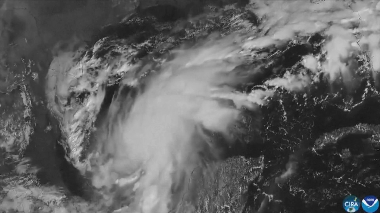 Hurricane Isaias: Storm strengthens into a dangerous Category 3 on track toward the US Gulf Coast


       — ABC 7 Bay Area, Belvedere Sports news