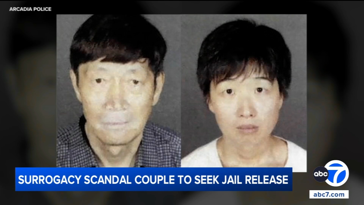 California couple accused in surrogacy scandal to seek release from jail, attorneys say
       — ABC 7 Bay Area, Belvedere Community news