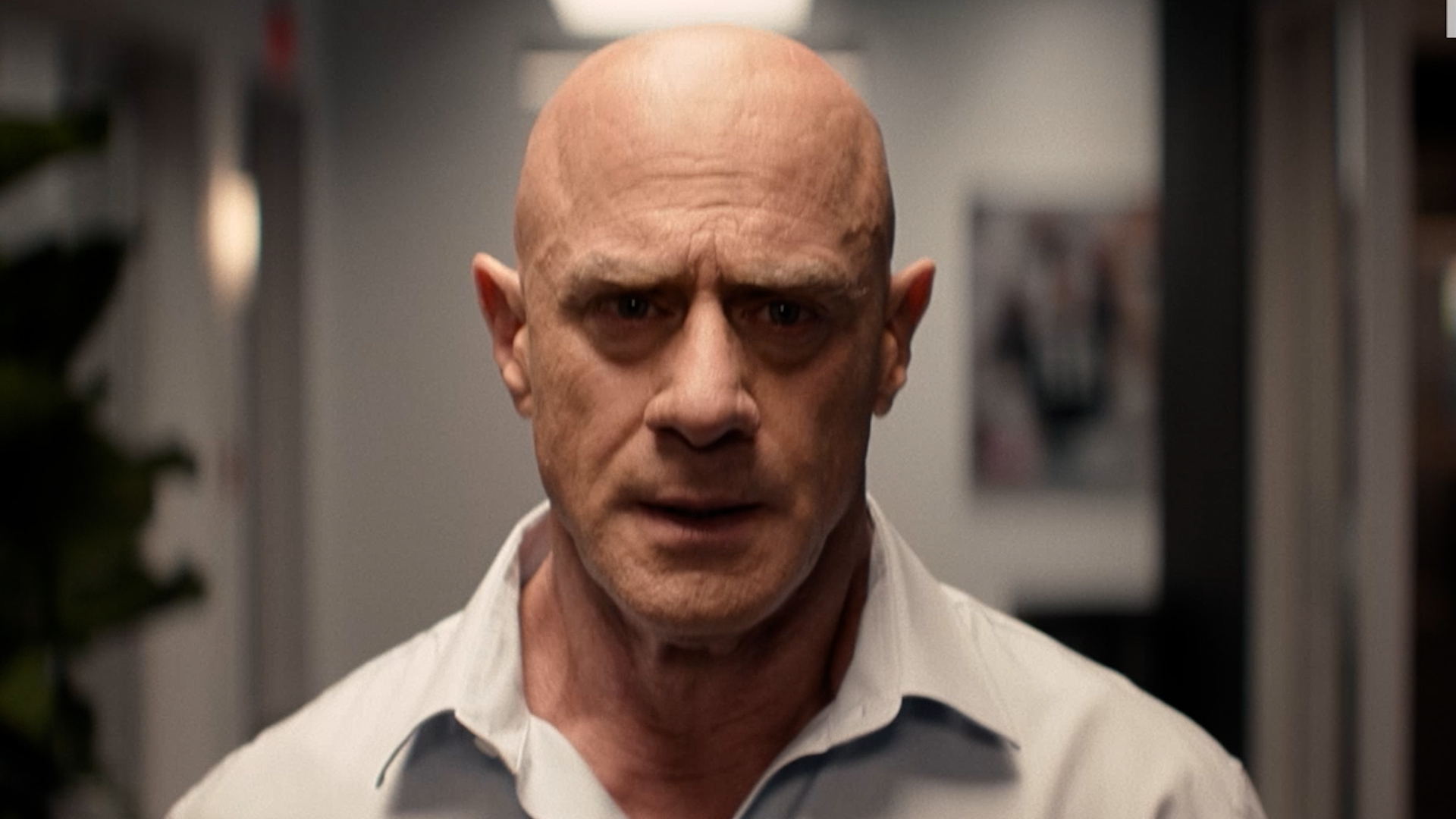 Christopher Meloni, William H. Macy talk football, family in 'The Land' trailer
— ABC 7 Bay Area, Belvedere Sports news