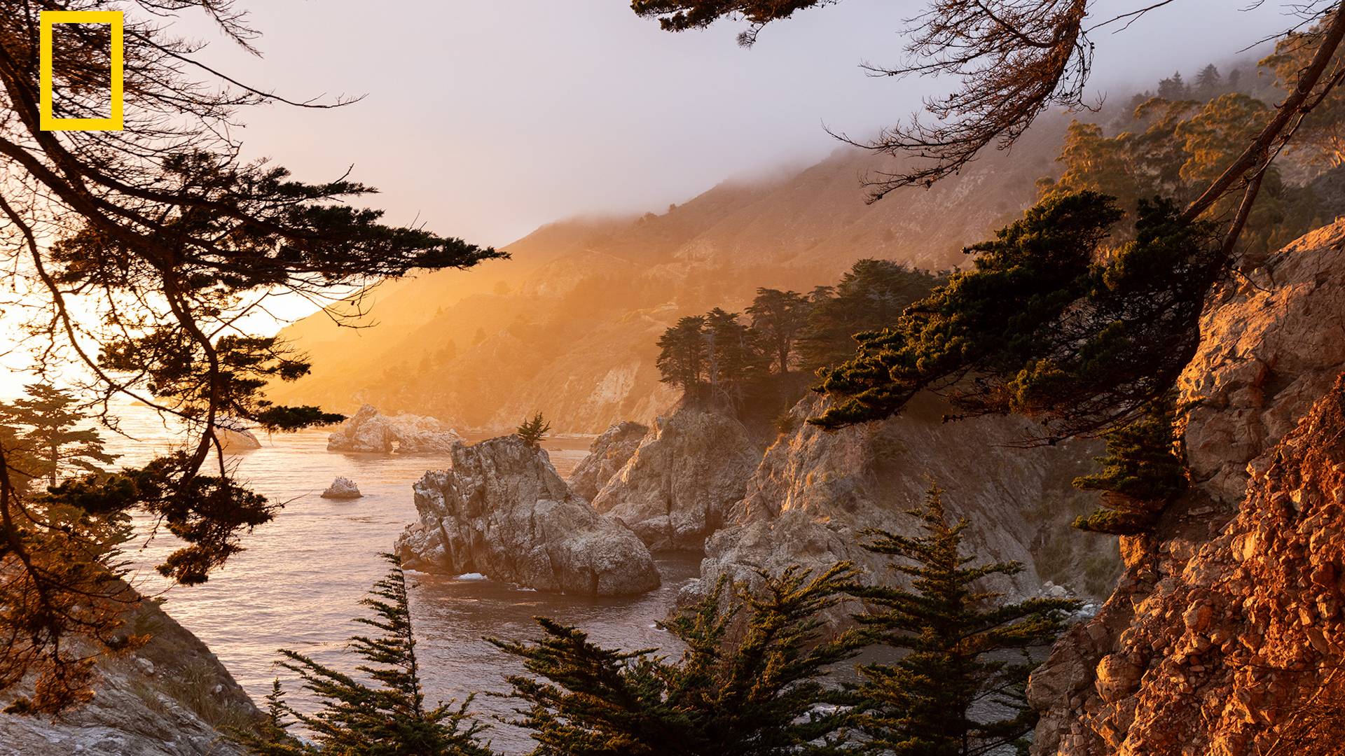 USA destinations included in National Geographic's best places in the world to visit in 2027
— ABC 7 Bay Area, Belvedere Community news
