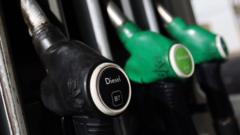 Fuel costs squeezing margins for some businesses — BBC Business, Belvedere Business news