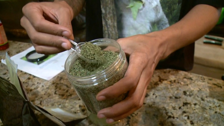 Hillsborough County considers restrictions on kratom products as families describe losing loved ones — WTSP 10 Tampa Bay, Belvedere Government news