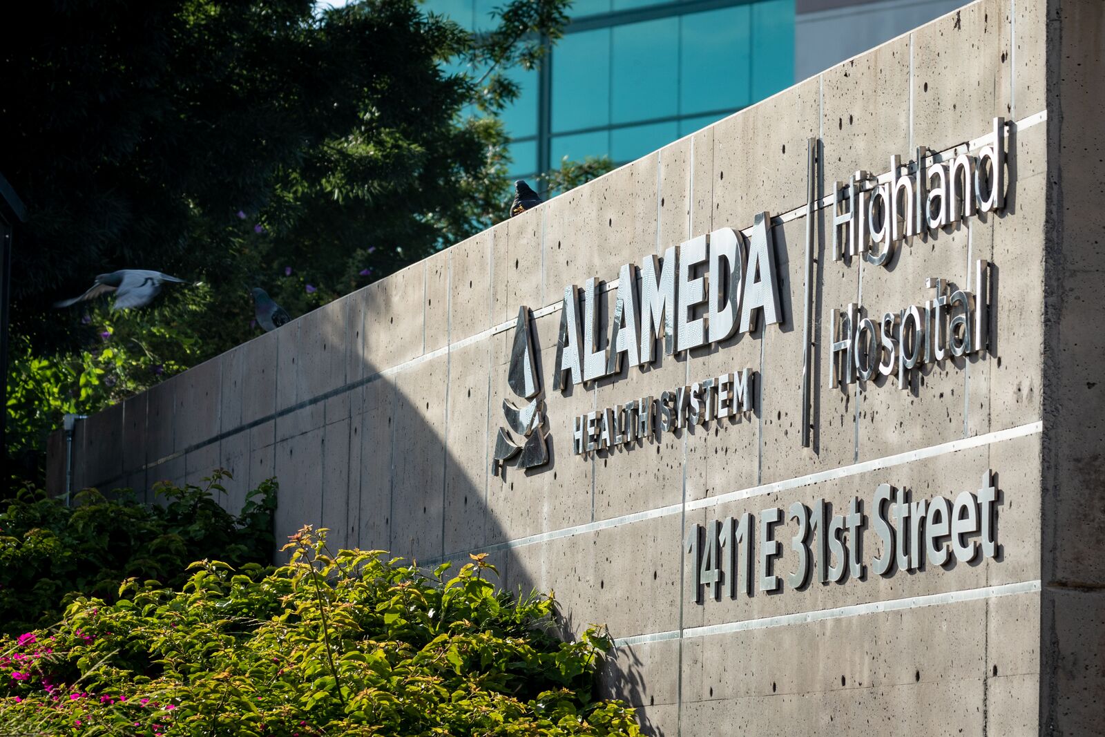ICE showed no warrant when they took Highland Hospital patient, officials say — Belvedere Health news