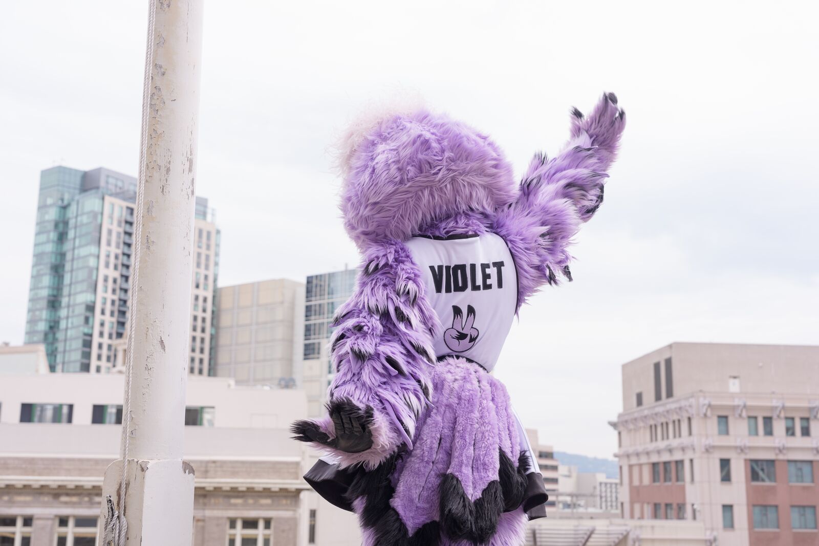 This week in Oakland: an outdoor Valkyries watch party, and singersongwriter Laura Anglade at Yoshi’s — The Oaklandside, Belvedere Arts news