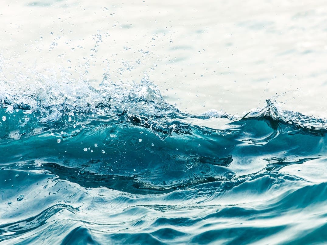 Deadly Hostage Standoff Details | Kelvin Wave Brings Record Sea Levels: Patch PM — San Francisco Patch, Belvedere Community news
