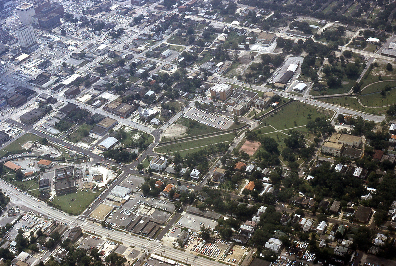 THE JAXSON | The oak tree that remembers Black Bottom — Jacksonville Today, Belvedere Schools news