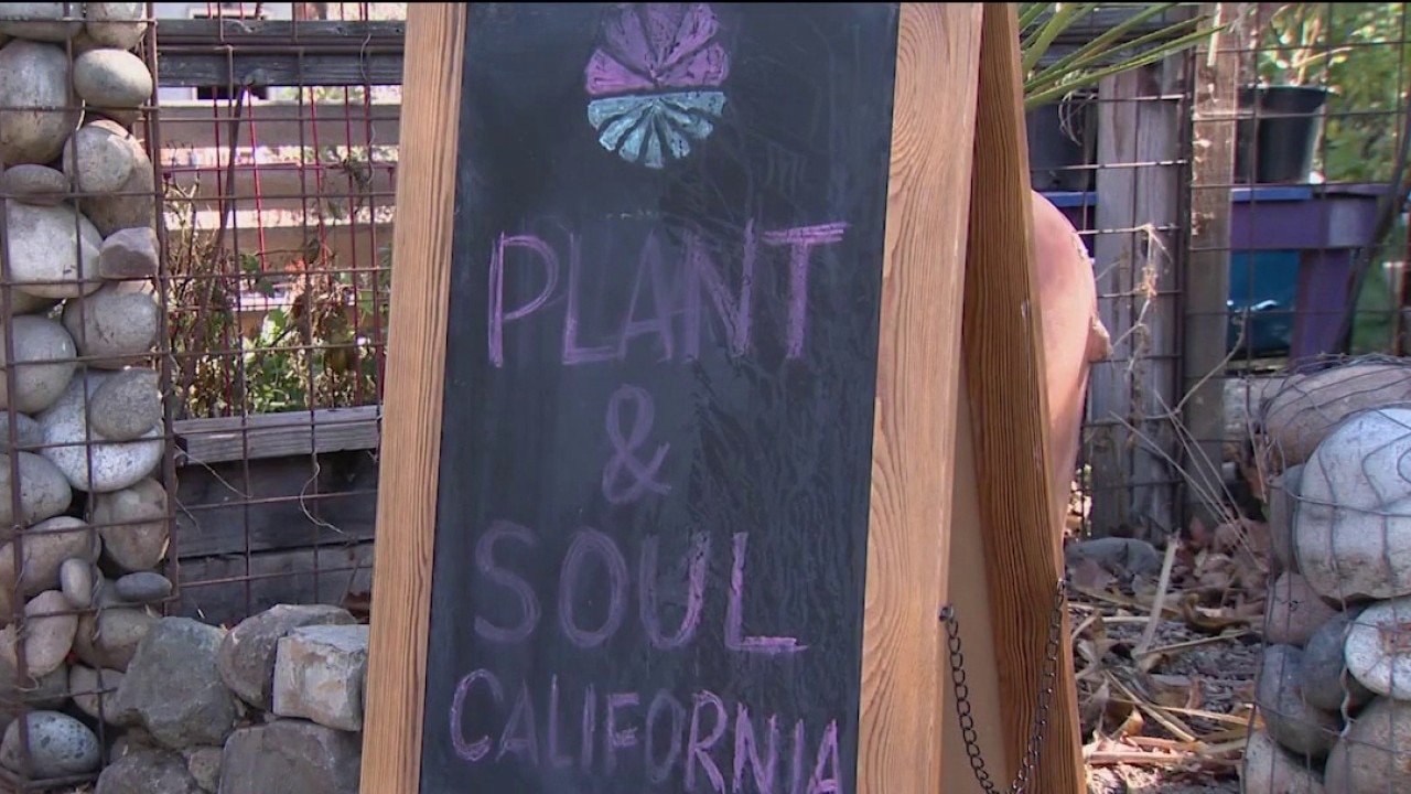San Jose community garden faces possible eviction — KTVU FOX 2 Bay Area, Belvedere Schools news