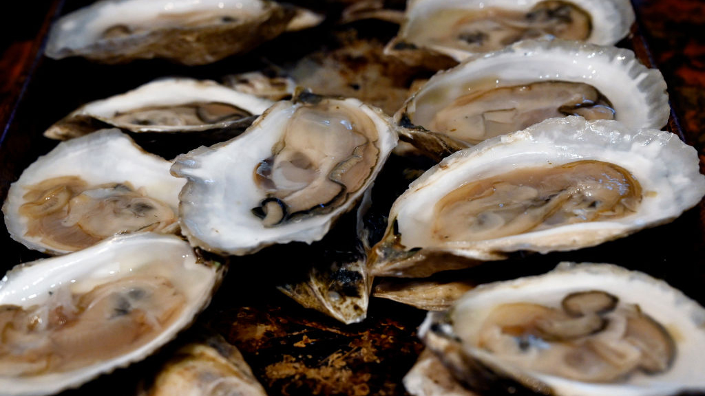 Sewage leak temporarily halts Tomales Bay oyster harvest — KTVU FOX 2 Bay Area, Belvedere Business news