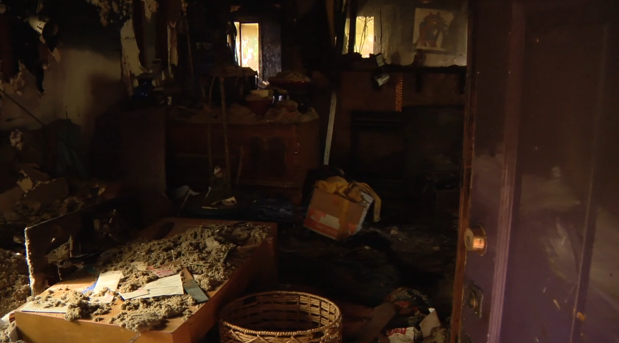 Berkeley urban farmer vows to rebuild after house fire — KTVU FOX 2 Bay Area