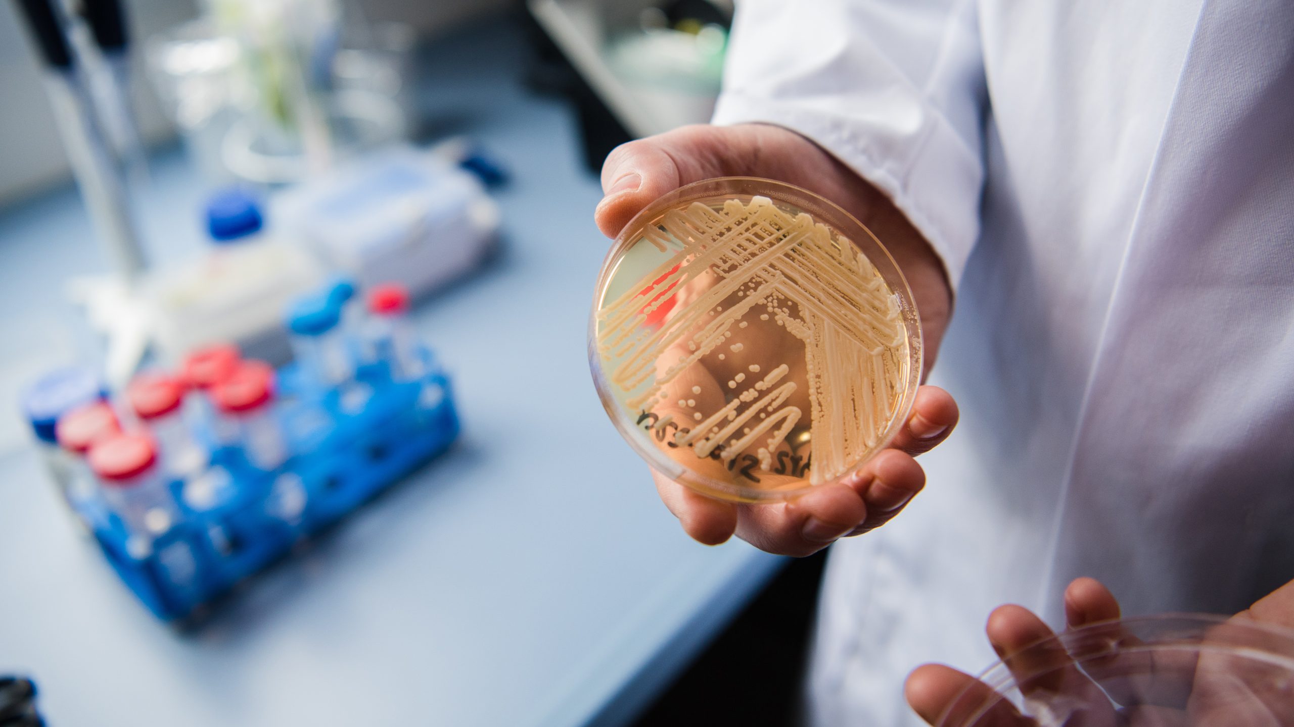 New study reveals why dangerous fungus is so difficult to treat — KTVU FOX 2 Bay Area, Belvedere Community news
