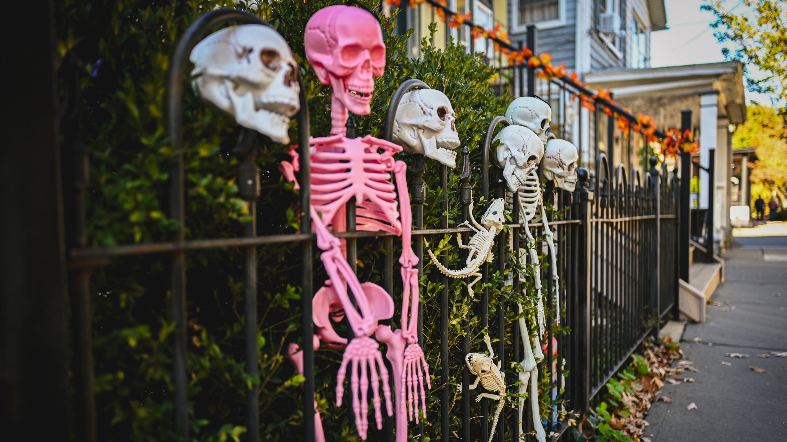 America's best cities for Halloween, ranked — KTVU FOX 2 Bay Area, Belvedere Community news
